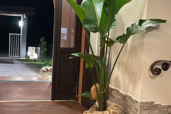 Affittacamere Il Sole